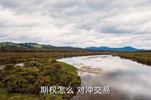 期權怎么 對沖交易