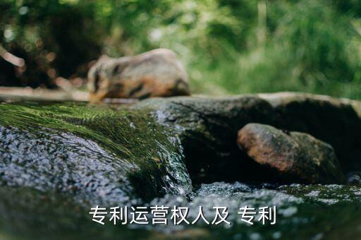  專利運營權人及 專利