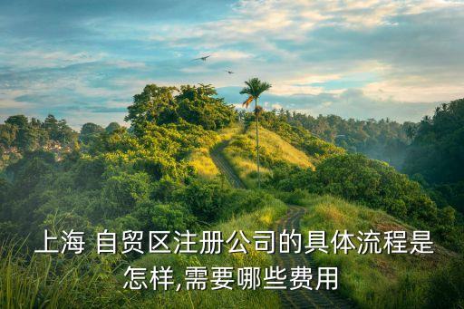  上海 自貿區注冊公司的具體流程是怎樣,需要哪些費用
