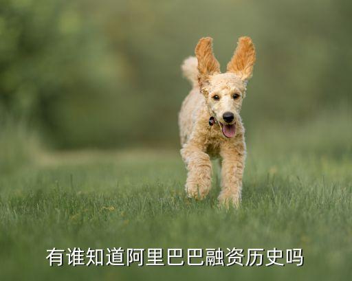 馬云投資互聯網,馬云到美國第一次見到互聯網