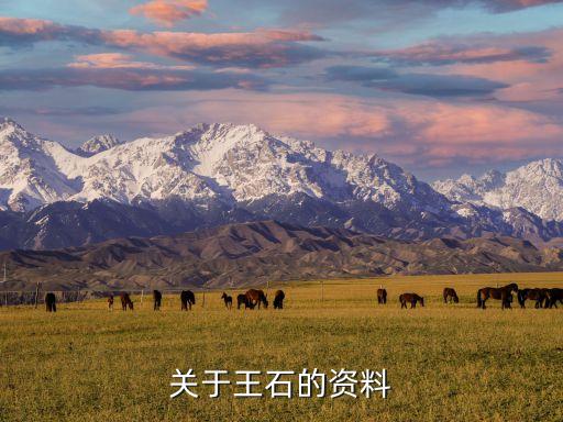 2001cctv中國經濟年度人物頒獎典禮