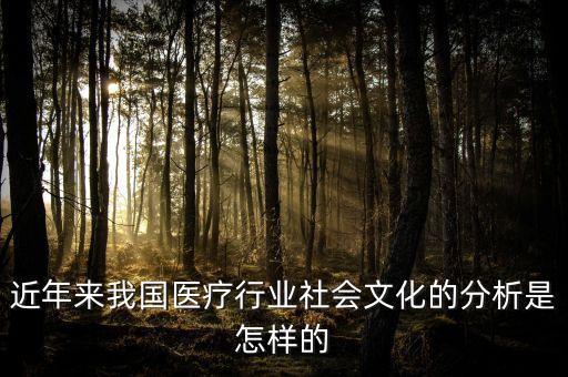 近年來我國醫療行業社會文化的分析是怎樣的