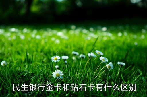  民生銀行金卡和鉆石卡有什么區別
