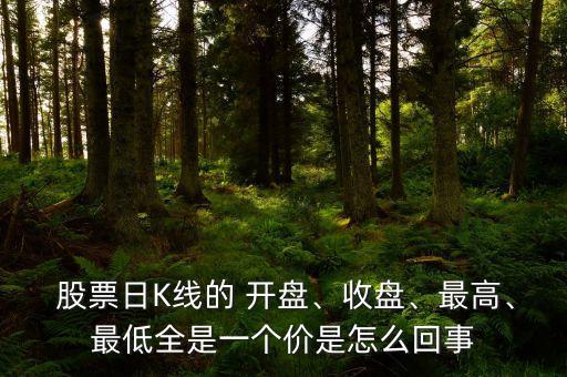  股票日K線的 開盤、收盤、最高、最低全是一個價是怎么回事
