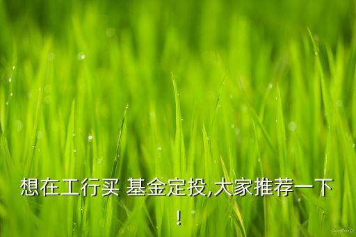 諾安股票酷基金網