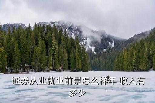 證券公司技術總監收入,比亞迪技術總監的收入如何