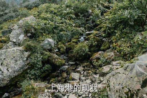 上海港的現狀