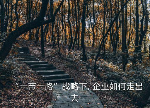 哪些中國企業走出去,影響企業走出去的內部因素有哪些