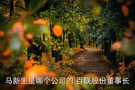 馬新生是哪個公司的 百聯股份董事長