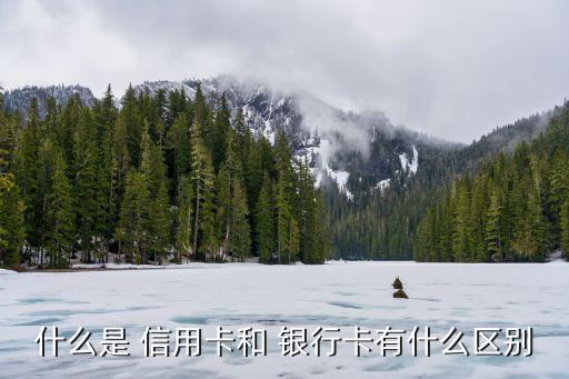 什么是 信用卡和 銀行卡有什么區別
