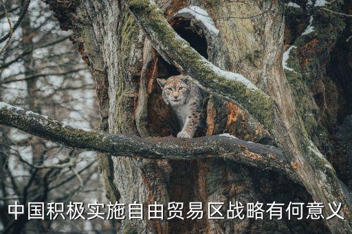 中國積極實施自由貿易區戰略有何意義