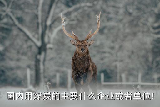 國內用煤炭的主要什么企業或者單位!