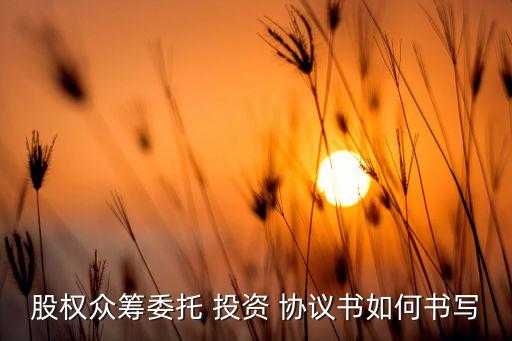 代理投資協議,代理法人協議