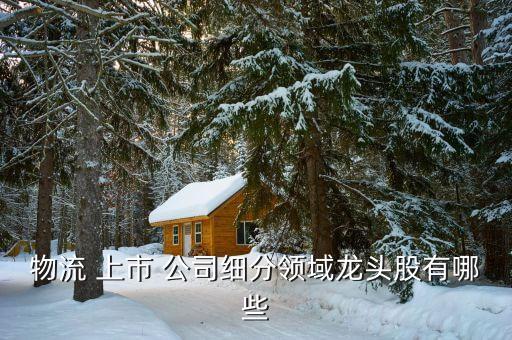 快遞業務的上市公司,a股快遞上市公司有哪些
