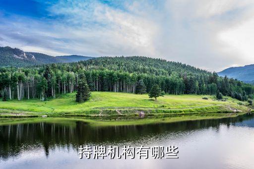 香港證監會持牌人名單中的公司