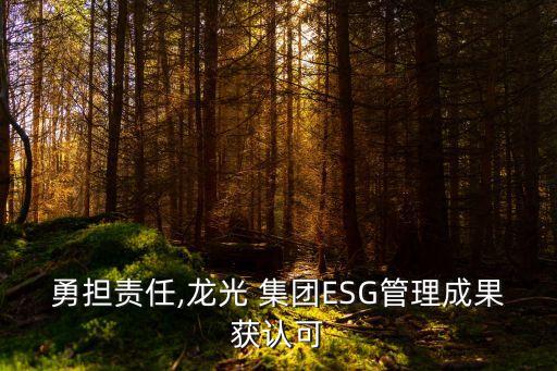 勇擔責任,龍光 集團ESG管理成果獲認可