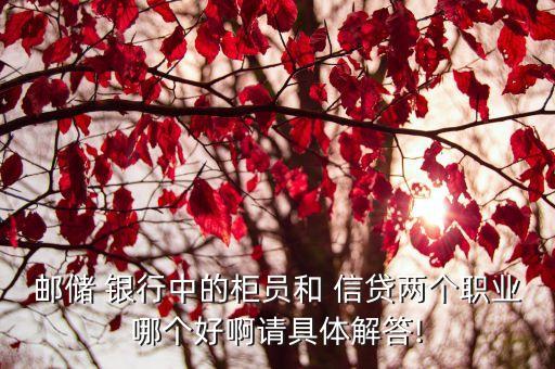 郵儲 銀行中的柜員和 信貸兩個職業哪個好啊請具體解答!