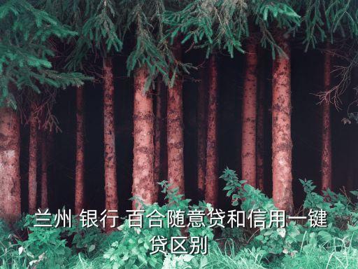  蘭州 銀行 百合隨意貸和信用一鍵貸區別
