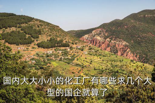 國(guó)內(nèi)大大小小的化工廠有哪些求幾個(gè)大型的國(guó)企就算了