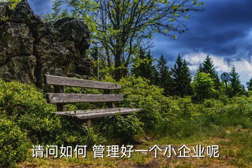 創業公司如何管理,創新創業公司管理