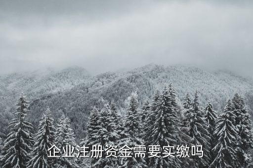 企業注冊資金需要實繳嗎