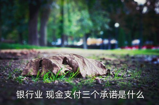  銀行業 現金支付三個承諾是什么