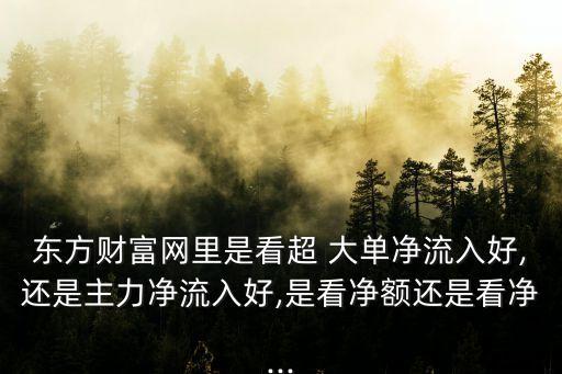 東方財富網里是看超 大單凈流入好,還是主力凈流入好,是看凈額還是看凈...
