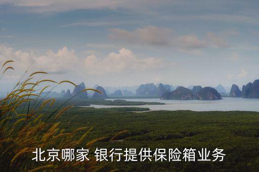 北京哪家 銀行提供保險箱業務