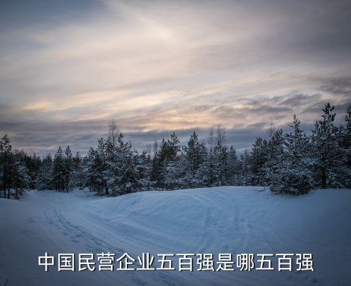 中國民營企業五百強是哪五百強
