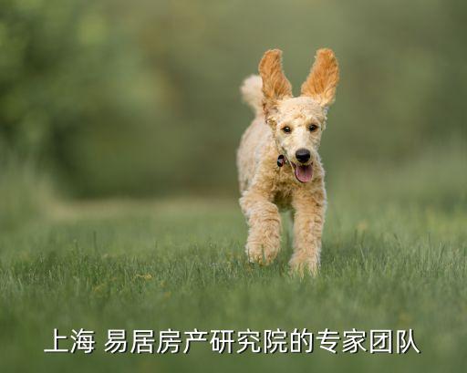 上海 易居房產研究院的專家團隊