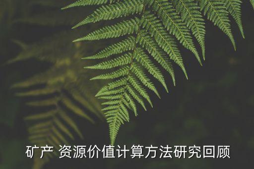 中國礦產(chǎn)資源金屬價(jià)格