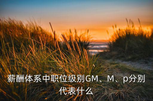 薪酬體系中職位級別GM、M、p分別代表什么