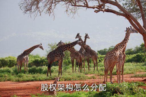 綠城中國股權結構,中國醫藥股權結構