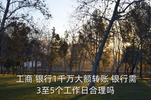  工商 銀行1千萬大額轉賬 銀行需3至5個工作日合理嗎