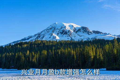  興業月月盈b款增強怎么樣